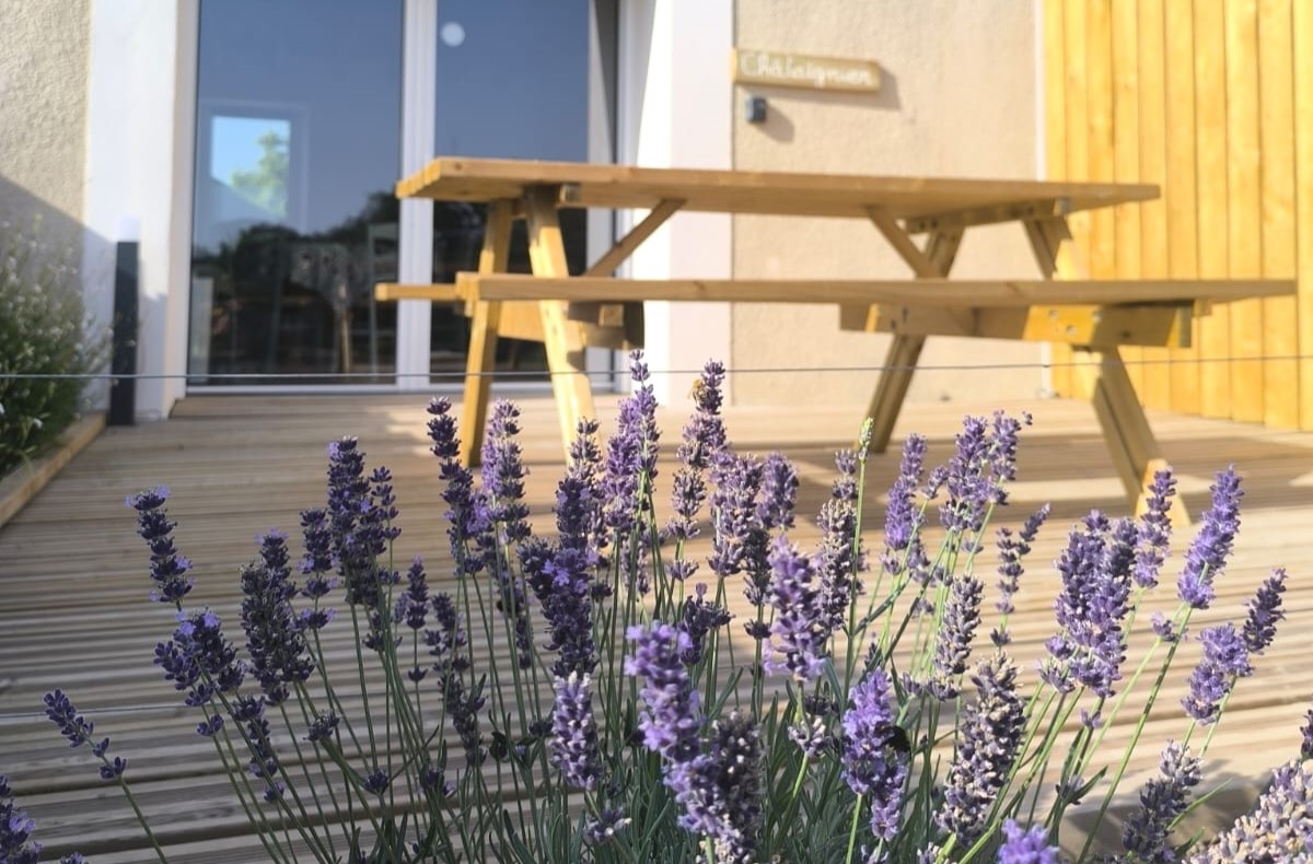 Gîte Le Châtaigner